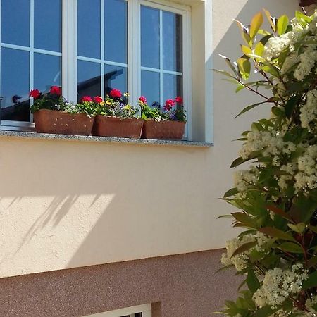 Apartments Place4You Bjelovar Bagian luar foto